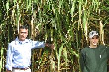 Samir Khanal and Devin Takara with banagrass